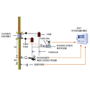 過(guò)熱蒸汽計(jì)量系統(tǒng)（差壓式孔板流量計(jì)）