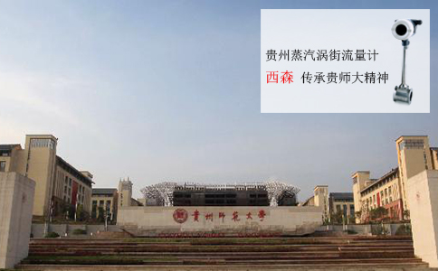 西森蒸汽渦街流量計(jì) 傳承貴師大精神